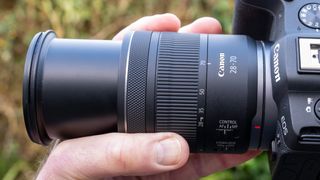 Canon RF 28-70mm f/2.8 IS STM with Canon EOS R8