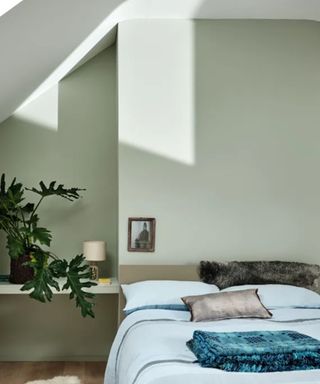 bedroom with light green wall, bright sunlight and houseplant in corner, light blue double bedding