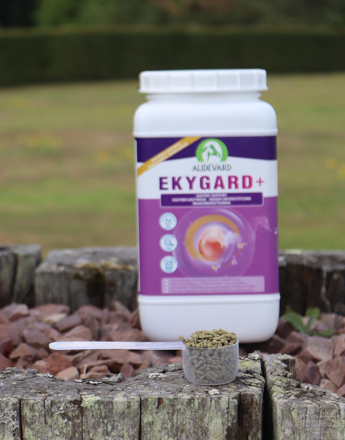 Ekygard-body-vertical