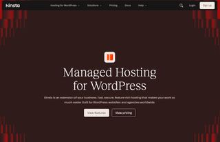 Kinsta's homepage