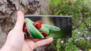 Oppo Find X5 Pro review 6.7-inch display