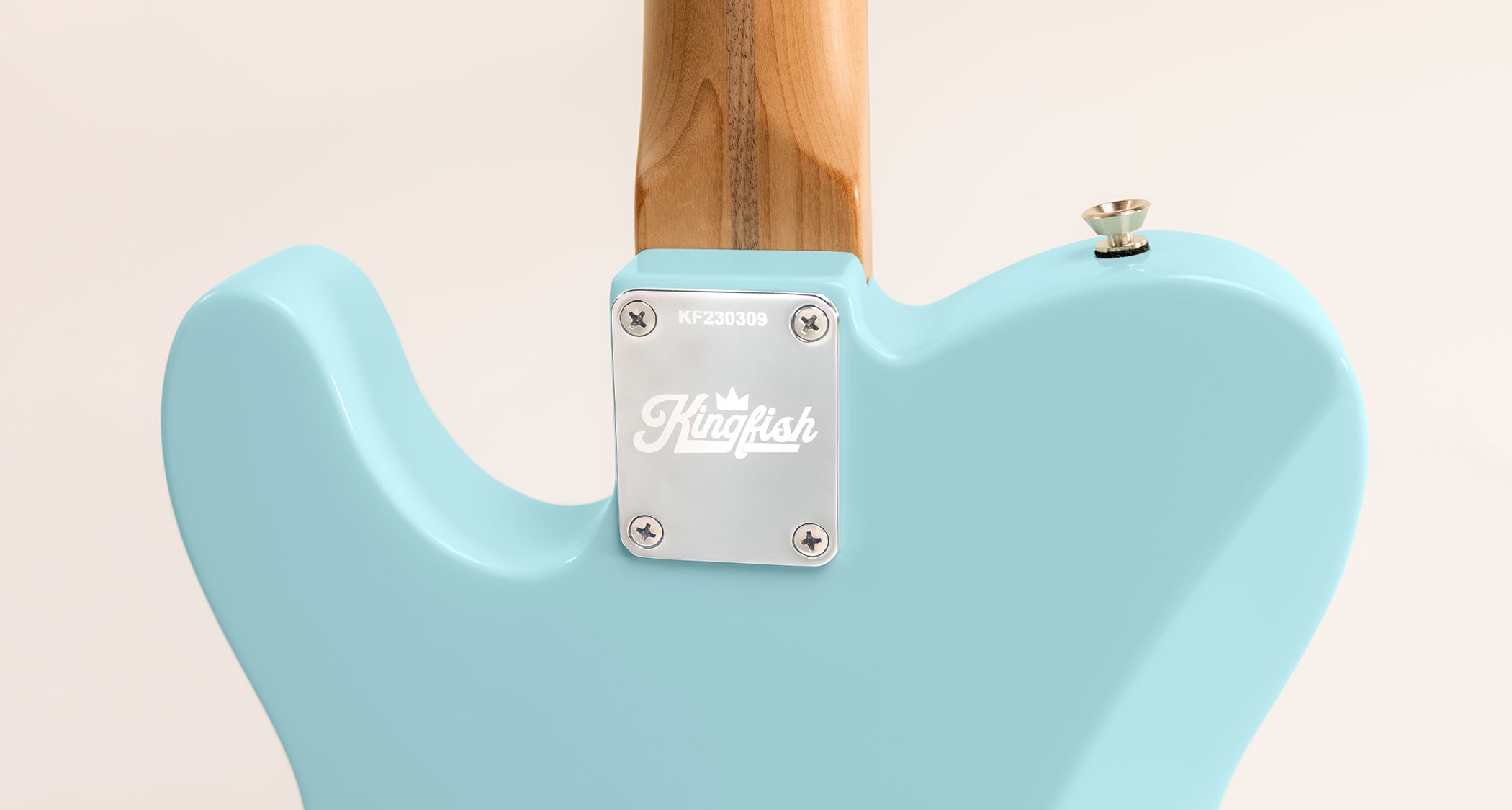 Fender Kingfish Delta Day Telecaster Deluxe