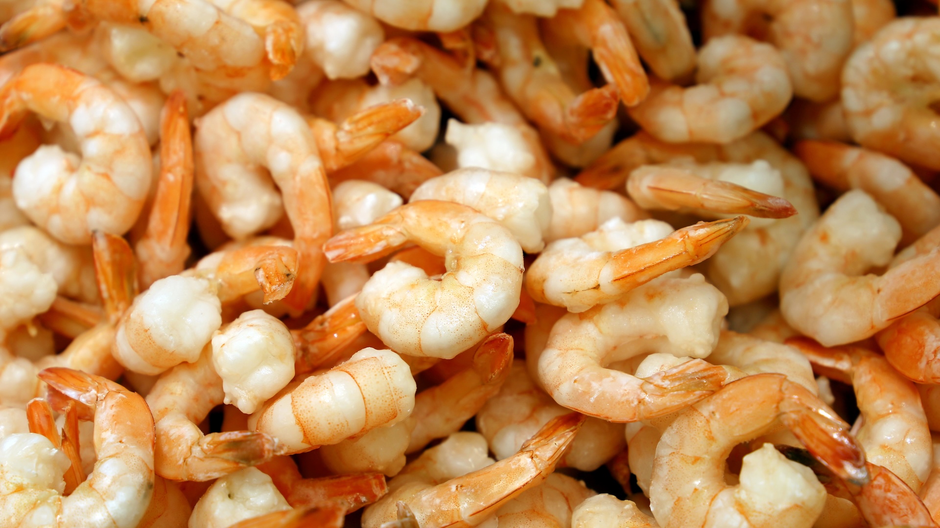 A close-up of shelled, raw shrimp