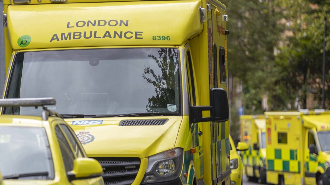 A row of ambulances