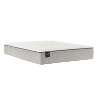 Sealy Essentials Winter Green mattress:$349.99 at Mattress Firm