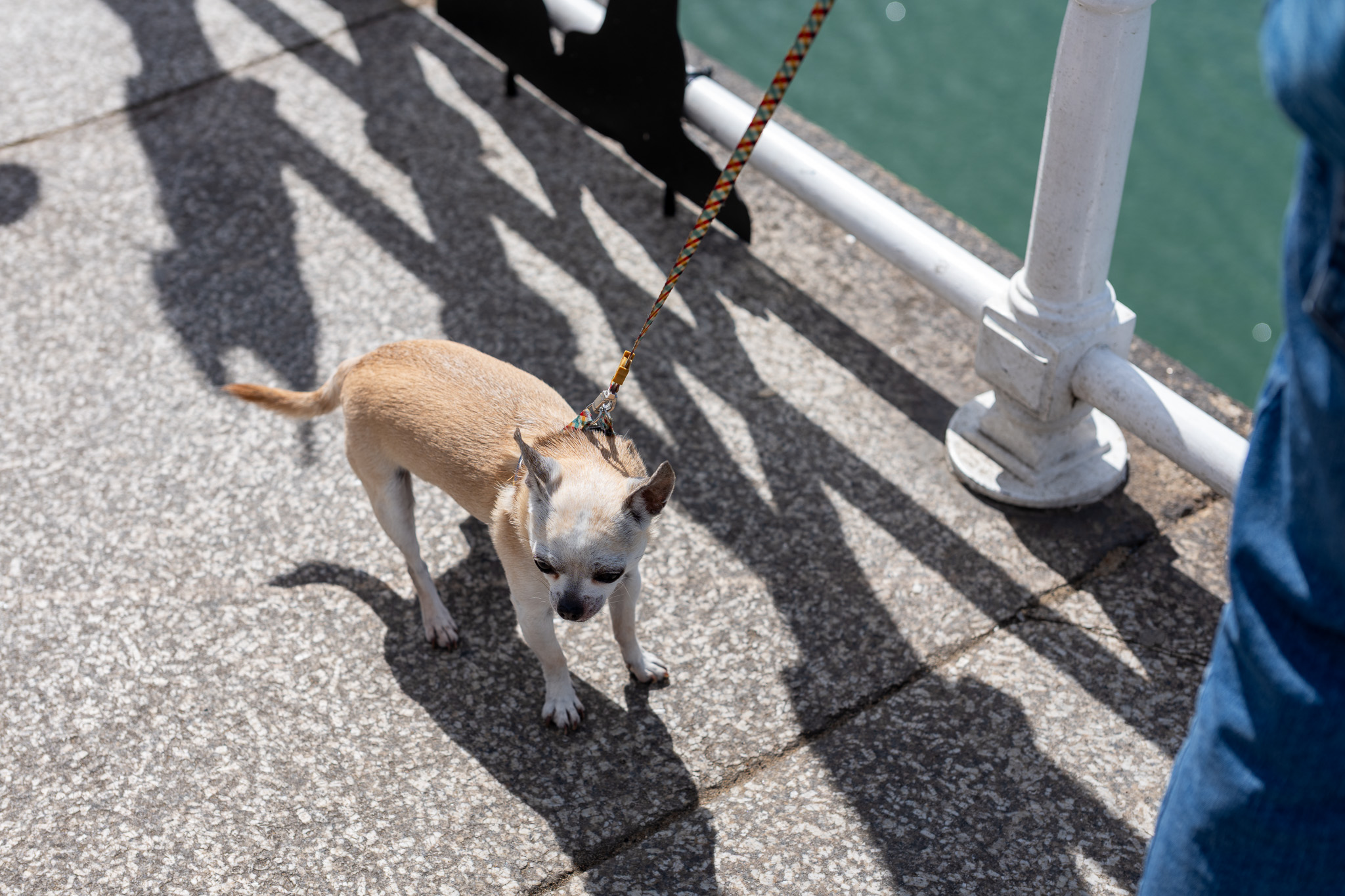 Leica SL3-P sample photo