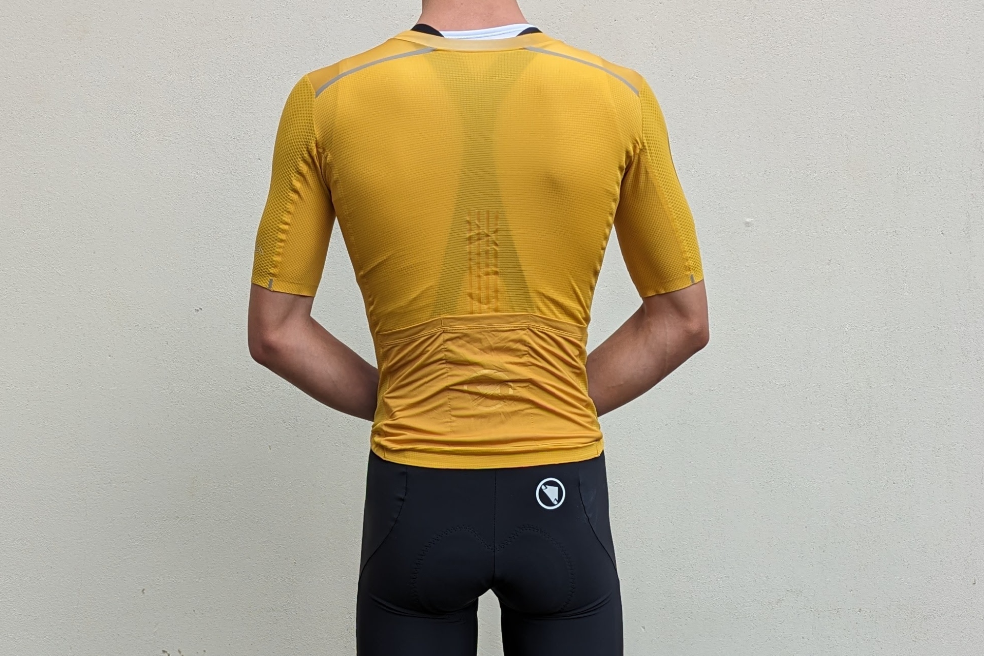 Endura Pro SL race jersey being worn rear on shot against white wall