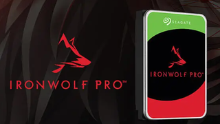 Seagate IronWolf Pro 12TB