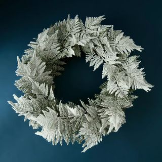 Anthropologie Frost Fern Wreath