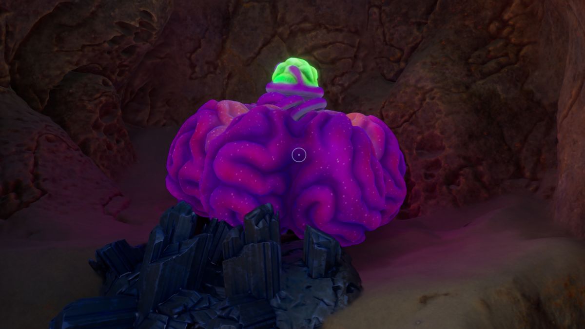 How to get Acidic Raion Pouch in Subnautica 2