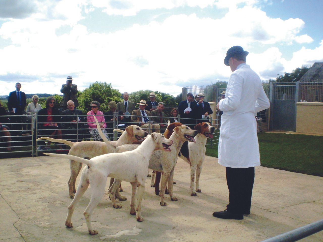 puppy-show