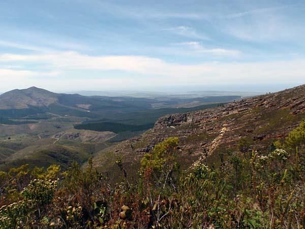 A view from the Cape Pioneer Trek.