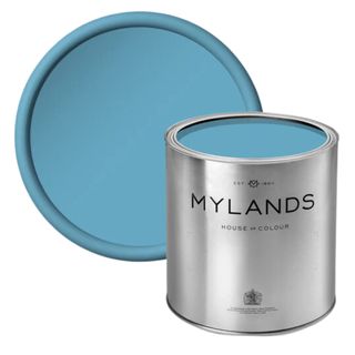 Mylands paint in enamel blue 