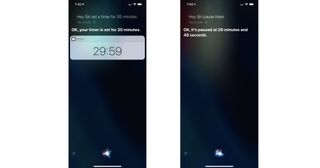 pause timer with Siri