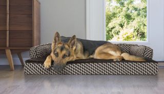 Best dog bed mattress: Furhaven Sofa Bed Comfy Couch