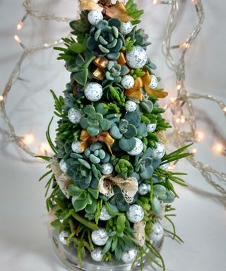 natural christmas tree decoration with succulents