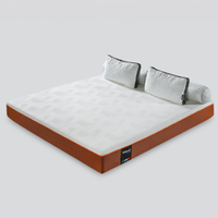 EXPIRED: Valmori S-Shape Foam Mattress