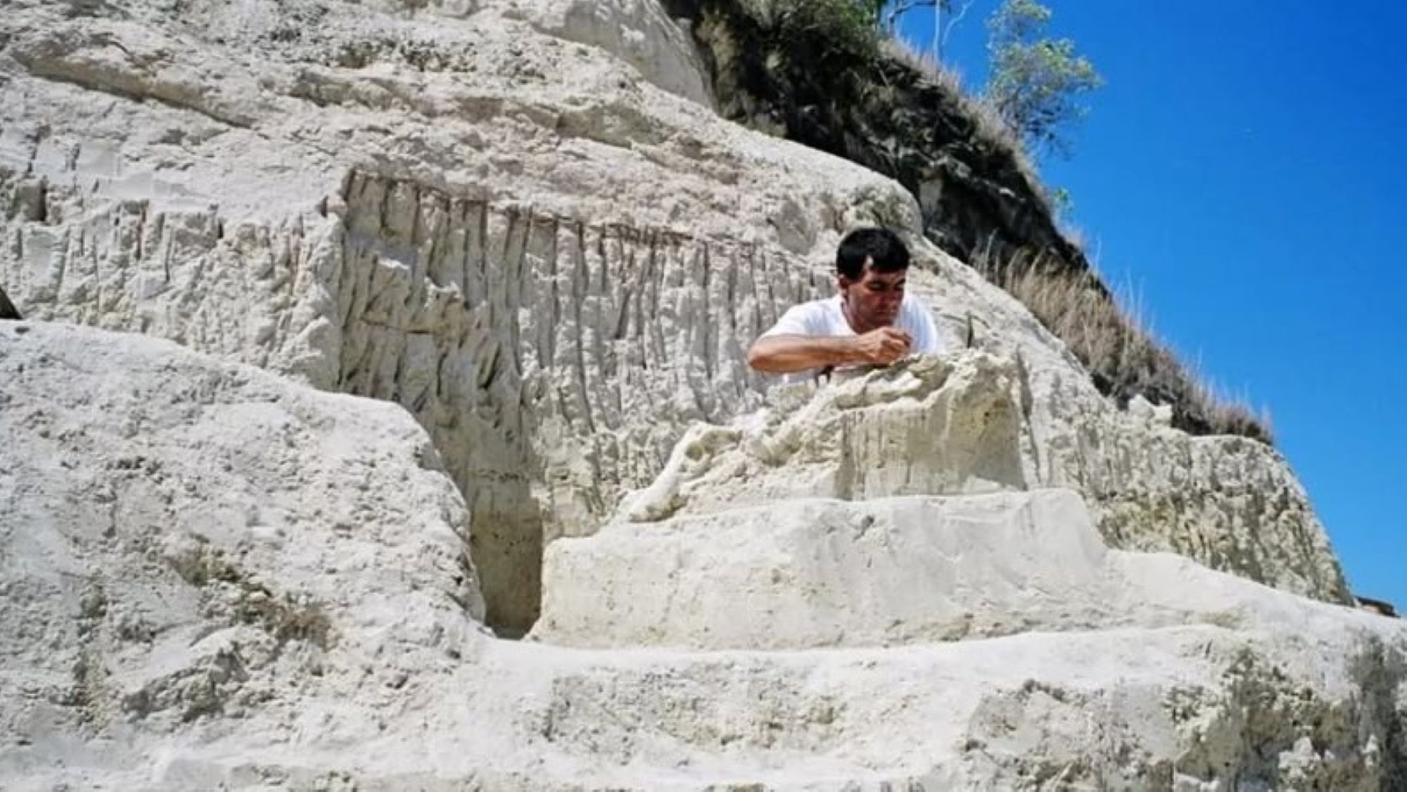 A researcher excavating a white rock formation.