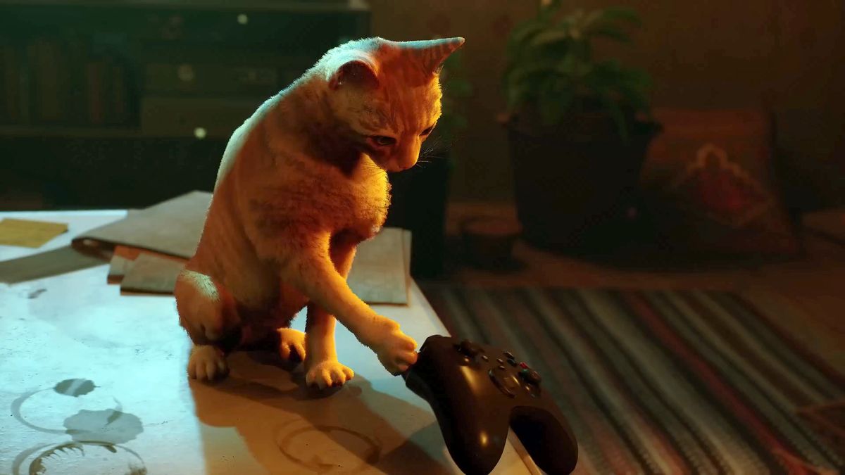 My Cat Loved the Stray Video Game as Much as I Did - CNET