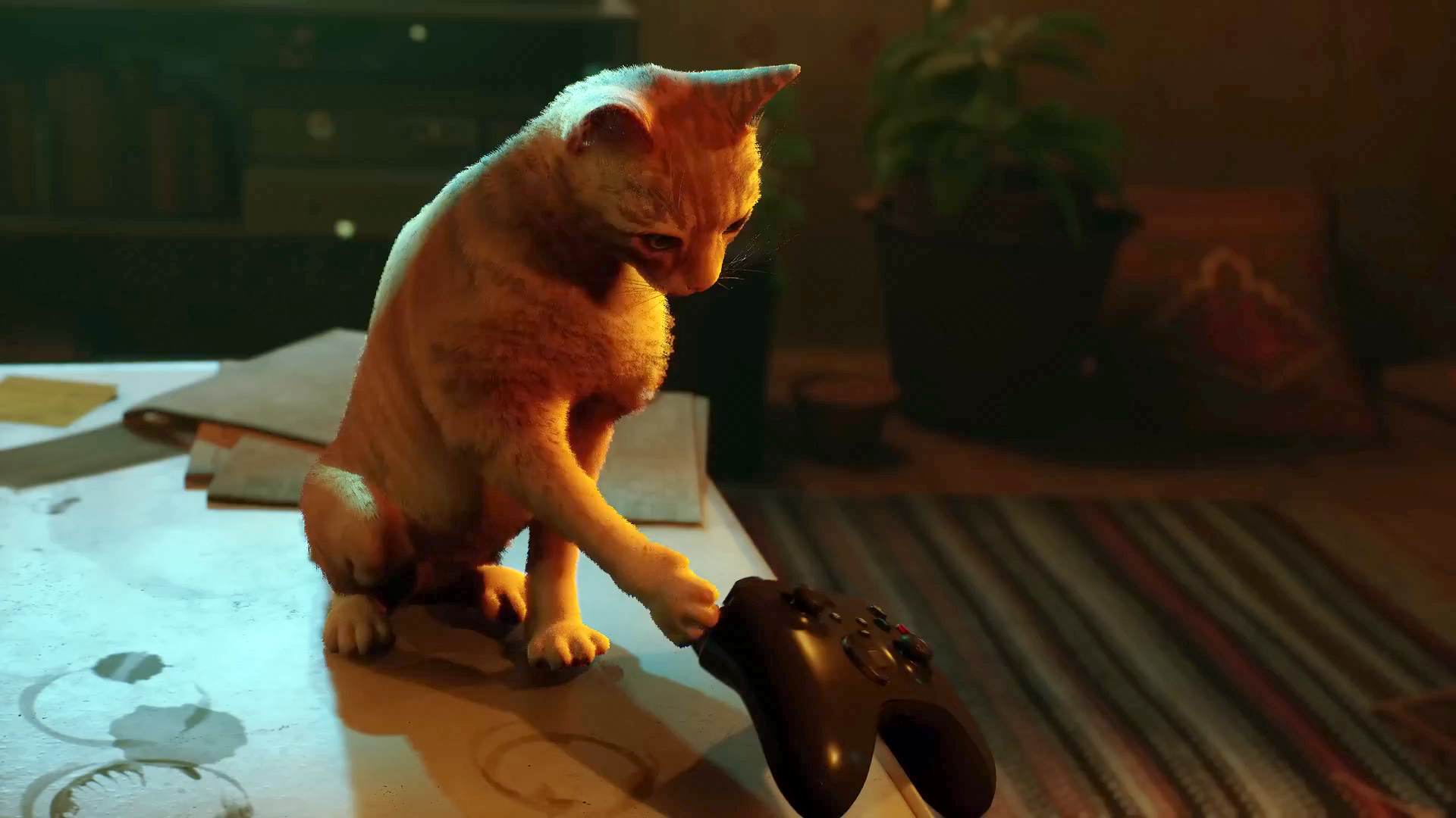 Cat Game 'Stray' Introduces Three Real Life Feline Stars