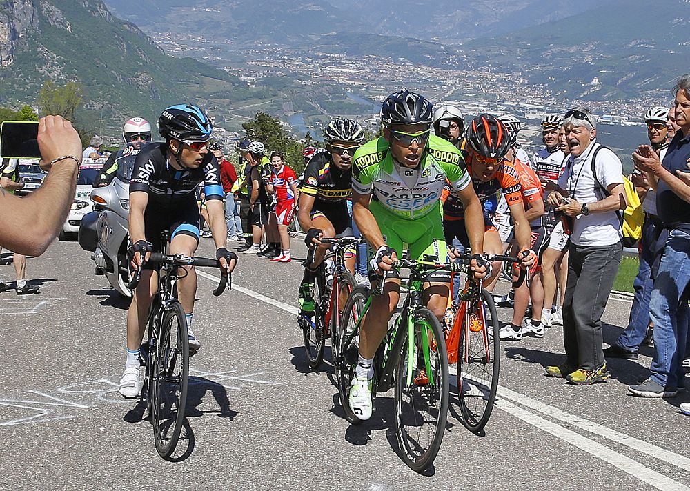 Eduardo Zardini (Bardiani CSF)