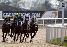 Great-Leighs-racing-2.jpg