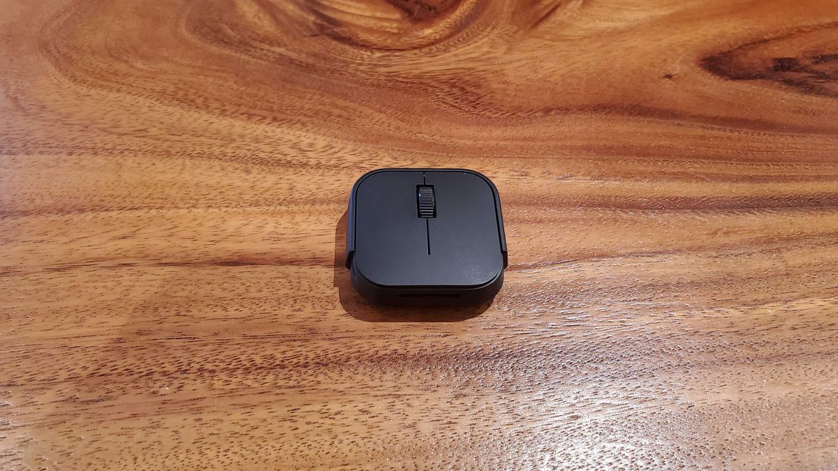 adaptive mouse