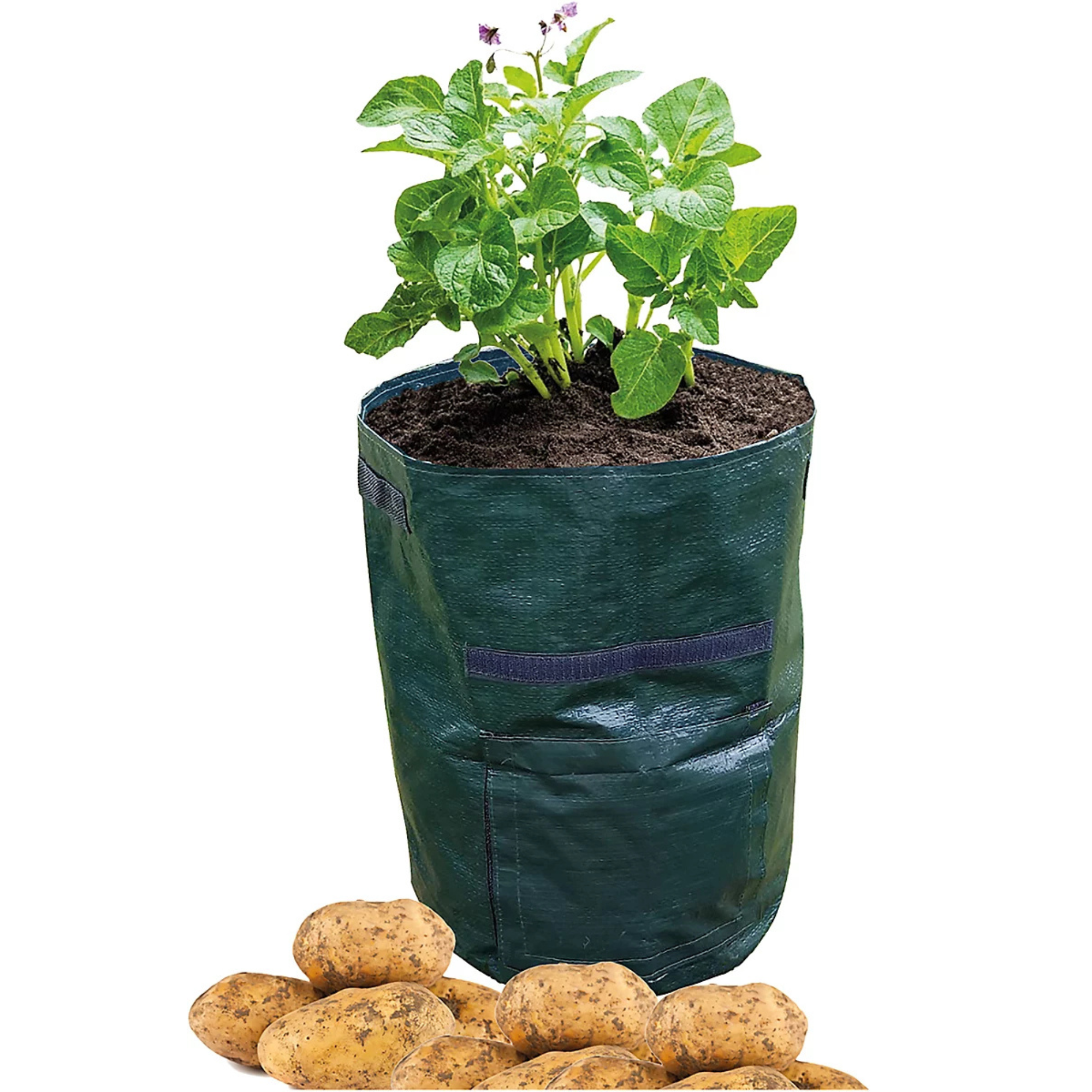 B&amp;amp;Q, Pack of 2 32L Garden Outdoor Durable Potato Vegatable Planting Planter Grow Bag