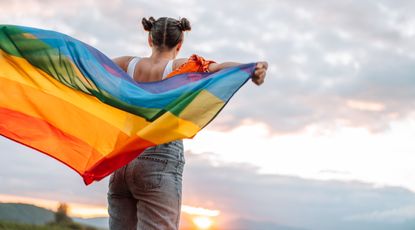 diversity Girl standing back and holding rainbow flag on sky background, facts about Pride Month