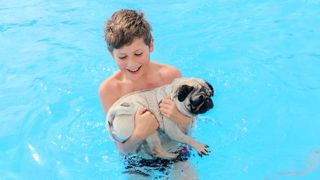 Boy carrying a pug above water in a swimming pool