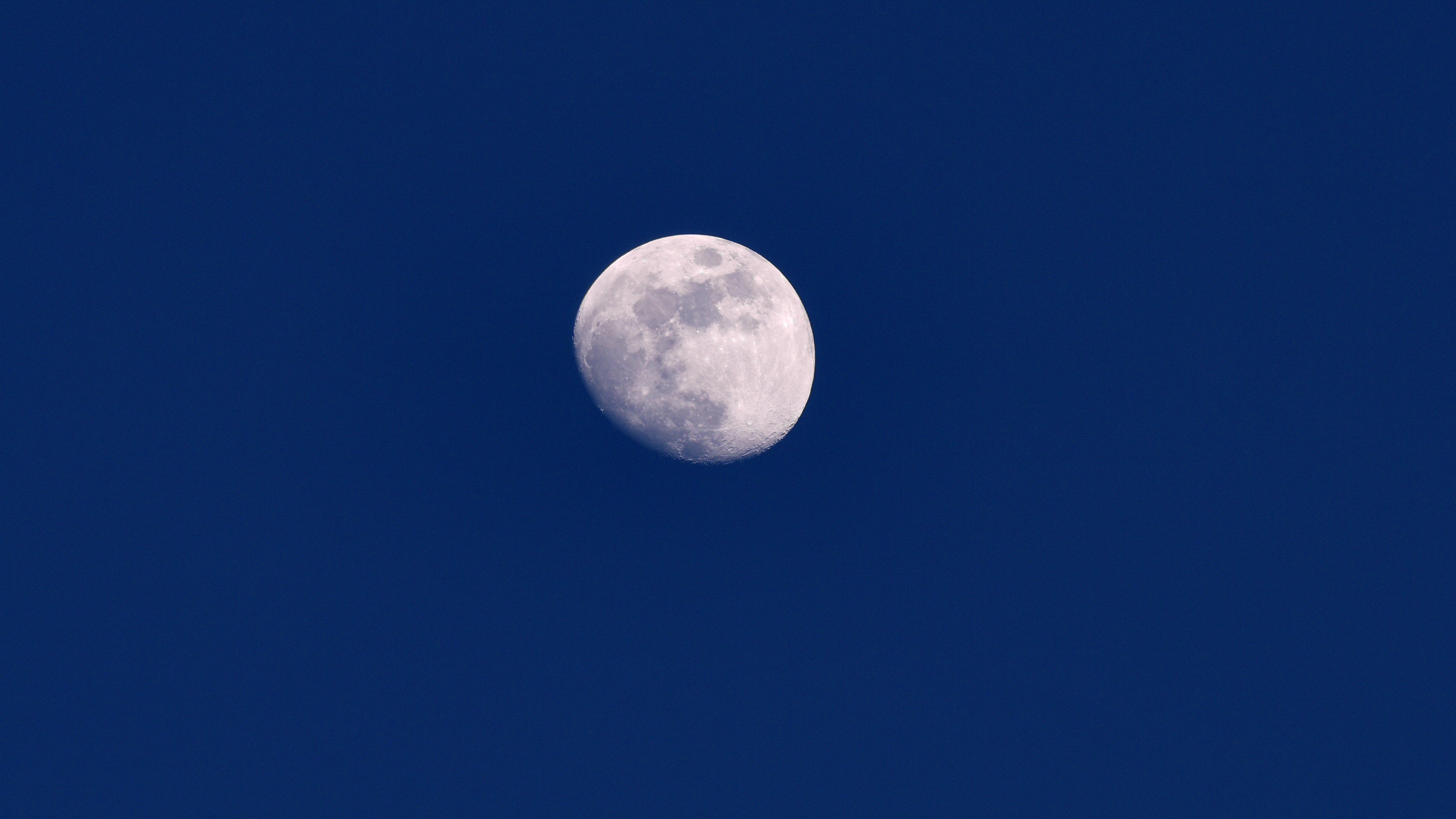The moon