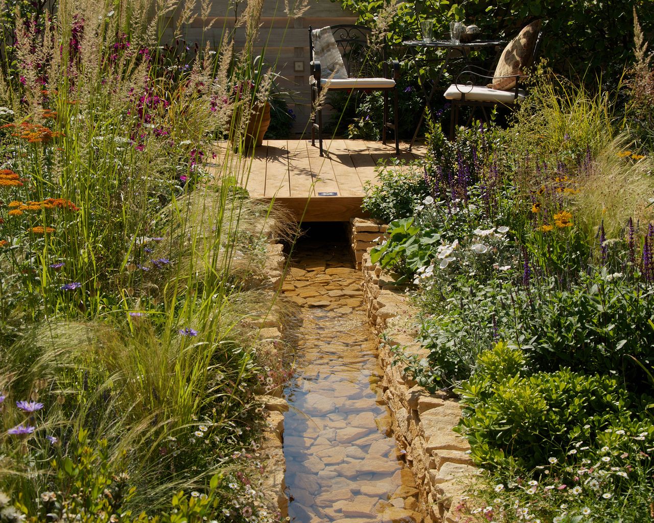 How to protect plants from heat 7 clever ways Gardeningetc