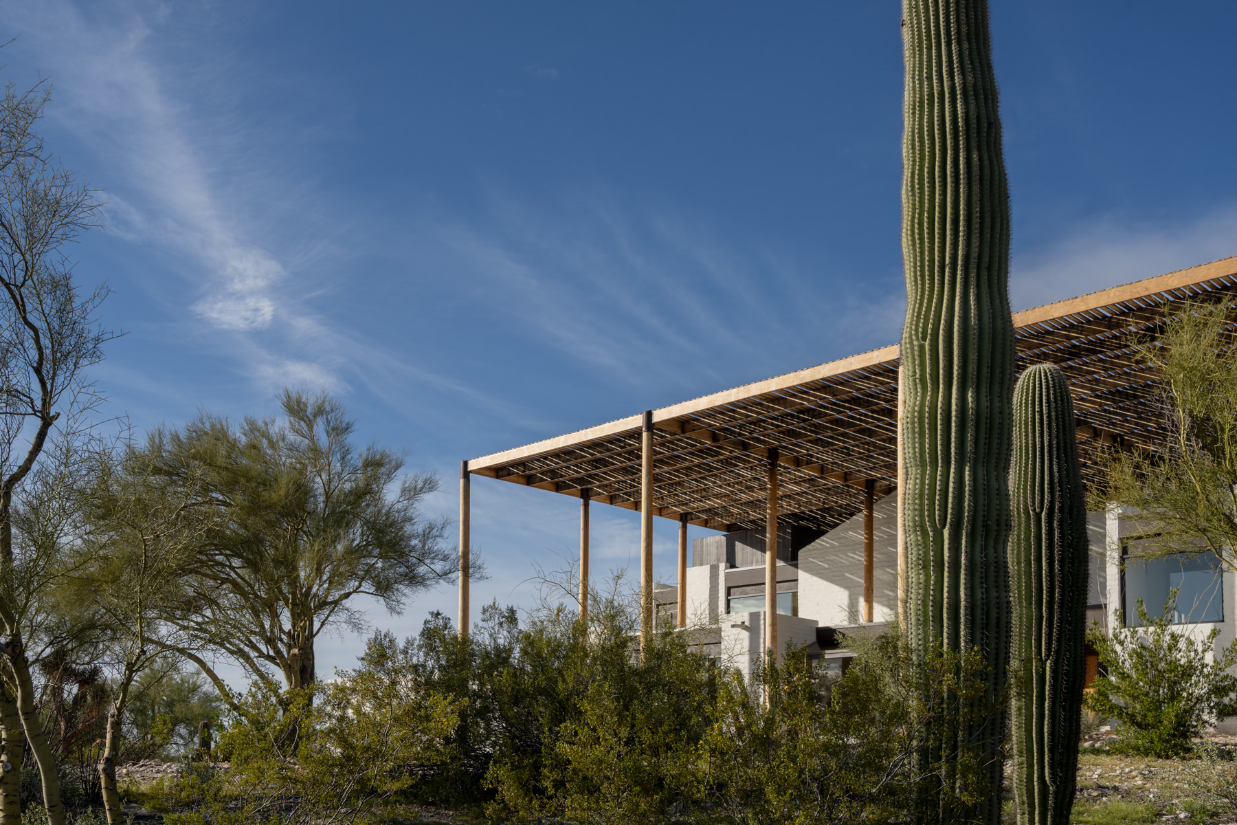 view of Ramada House by Judith Chafee, white, simple modernist house in the american desert