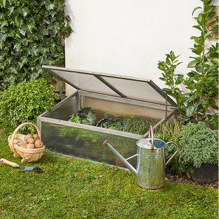 green lawn with cold frame plants and gardening tools