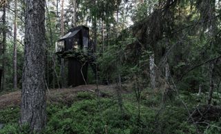 View of Koja treehouse in the forest