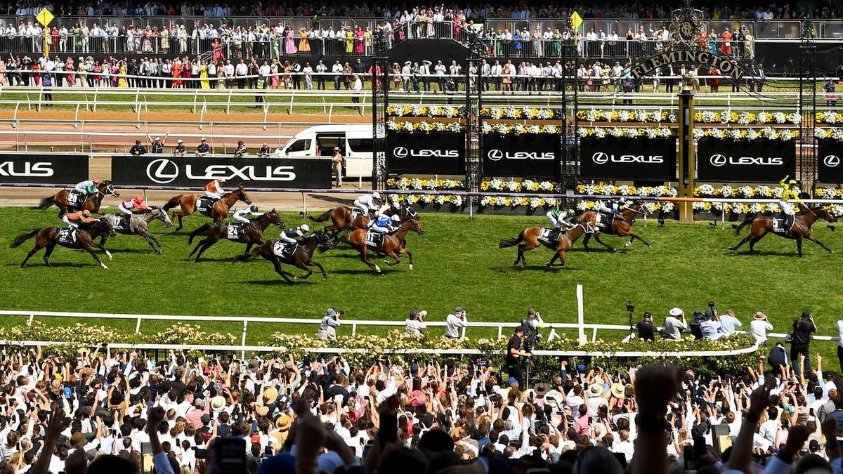 Without A Fight wins last year&#039;s Melbourne Cup ahead of Soulcombe and Sheraz