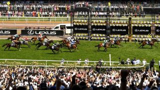 Without A Fight wins last year's Melbourne Cup ahead of Soulcombe and Sheraz