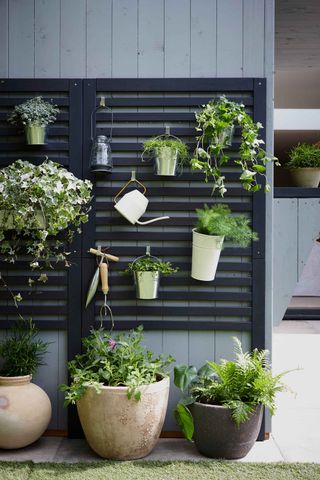 black modern trellis ideas for garden with hanging planters