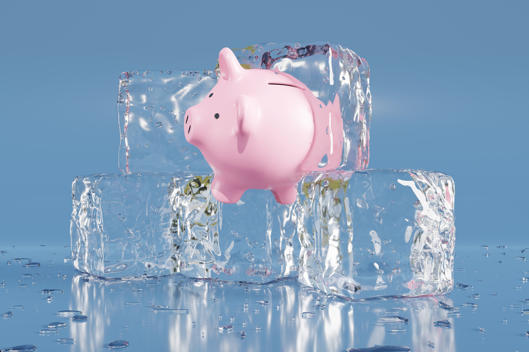 Frozen piggy bank