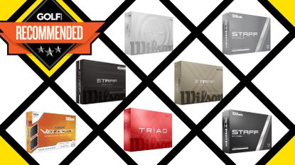 Best Wilson Golf Balls
