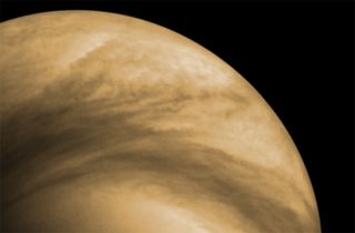 Cloud Features on Venus 