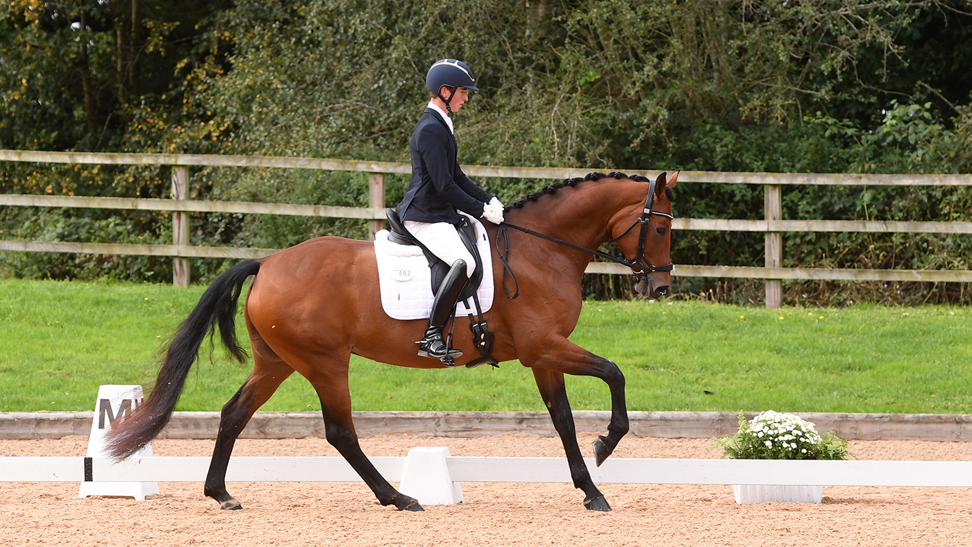 Tom Carter riding Newton Despina at the National Dressage Championships 2023