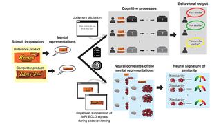 Images from a scientific paper on using brain scans to resolve logo design disputes