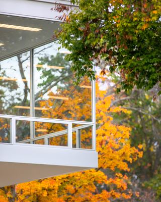 An upper level corner office with glass walls at Eskenazi School of Art with autumn trees behind it.