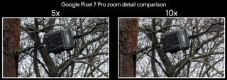 Comparing 5x and 10x zoom levels on the Google Pixel 7 Pro