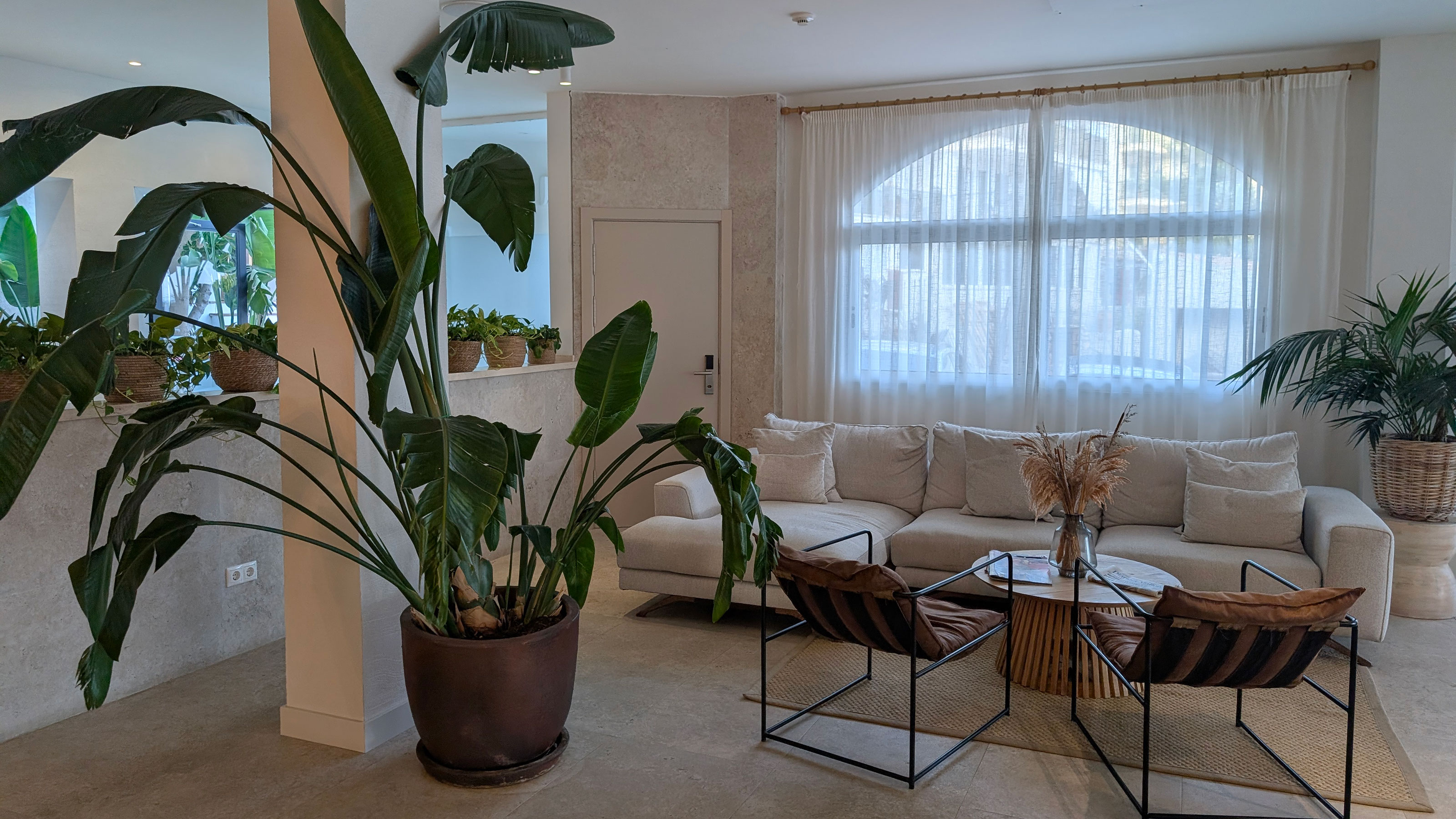 Neutral Mediterranean living room with long gauzy drapes, large leafy pot plant, cream sofa and minimalistic armchair around a coffee table