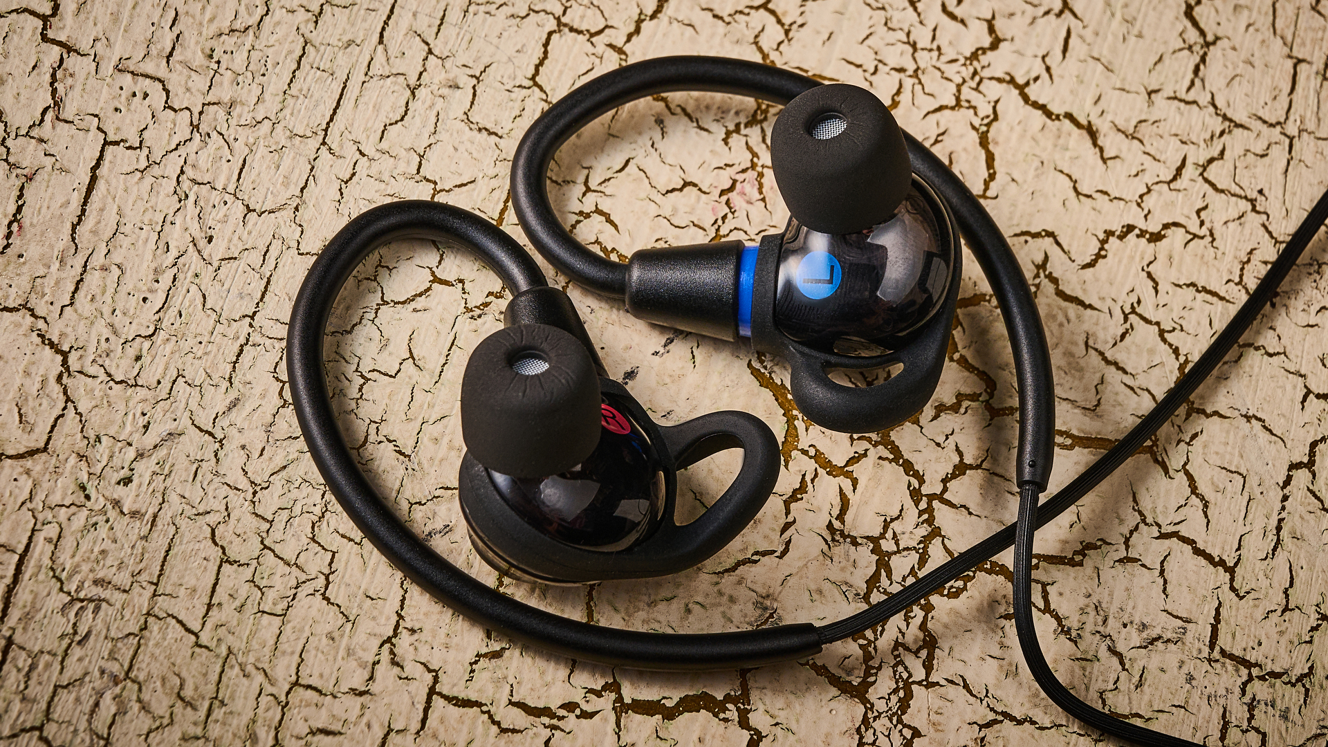 Sony IER-M500