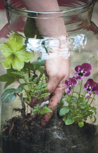 Step four of how to make a terrarium: plant up your smaller plants