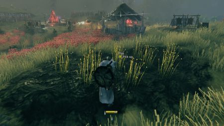 Valheim barley and flax