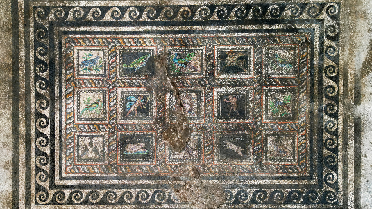 overview image of a 15-panel multicolored Roman mosaic